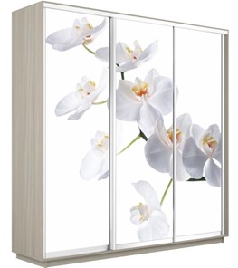 Шкаф трехдверный Экспресс 1800х600х2200, Орхидея белая/шимо светлый в Благовещенске
