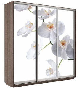 Шкаф 3-створчатый Экспресс 2100х600х2200, Орхидея белая/шимо темный в Благовещенске