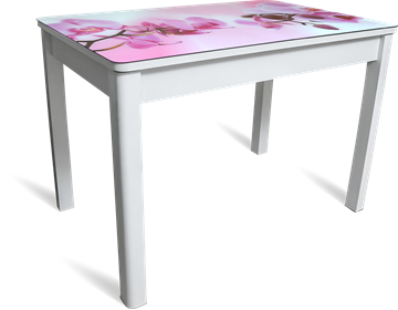 Кухонный раздвижной стол Айсберг-02 СТФ, белое лдсп/орхидея/40 прямые массив белые в Благовещенске
