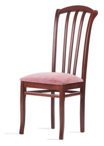 Кухонный стул Веер-Ж (нестандартная покраска) в Благовещенске