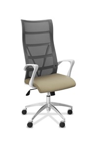 Офисное кресло для руководителя Топ X белый каркас, сетка/ткань TW / серая/светло-серая в Благовещенске