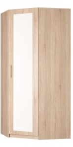 Распашной шкаф угловой Реал (YR-230х1034 (3)-М Вар.1), с зеркалом в Благовещенске - предосмотр