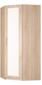 Распашной шкаф угловой Реал (YR-230х1034 (3)-М Вар.1), с зеркалом в Благовещенске - изображение