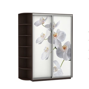 Шкаф 2-х створчатый Экспресс 1900x600x2200, со стеллажом, Орхидея белая/венге в Благовещенске