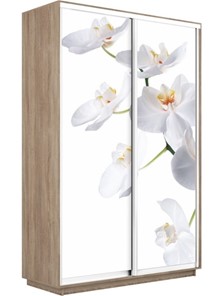 Шкаф Экспресс 1600x450x2400, Орхидея белая/дуб сонома в Благовещенске