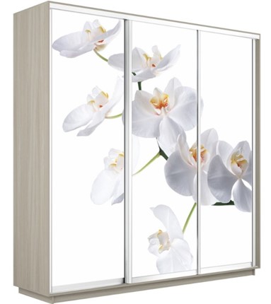 Шкаф трехдверный Экспресс 1800х600х2200, Орхидея белая/шимо светлый в Благовещенске - изображение