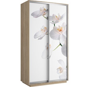 Шкаф 2-дверный Хит 1200x600x2200, белая орхидея, ясень шимо светлый в Благовещенске