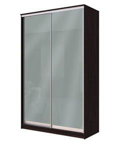 Шкаф 2-х дверный Хит-22-12-22 с цветным стеклом, средне-серый 074, Венге в Благовещенске