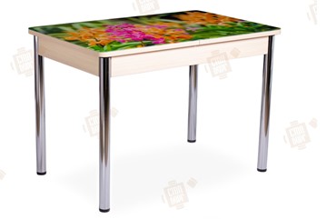 Кухонный стол раздвижной Айсберг-02 СТФ, Дуб ЛДСП/полевые цветы/ноги хром прямые в Благовещенске