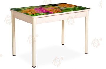 Кухонный раскладной стол Айсберг-02 СТФ, Дуб ЛДСП/полевые цветы/ноги крашеные в Благовещенске