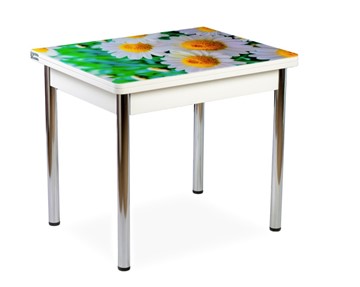 Кухонный пристенный стол СПА-01 СТФ, белый/фотопечать ромашки/опоры прямые хром в Благовещенске