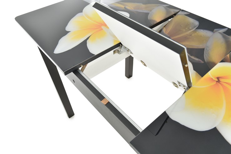 Кухонный стол раскладной Гамбург исп.1 ноги метал. крашеные №23, Фотопечать (Текстура №39) в Благовещенске - изображение 5
