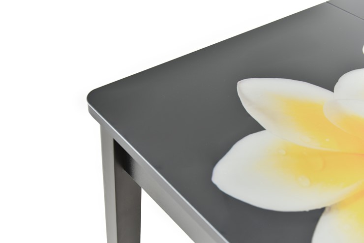 Кухонный стол раскладной Гамбург исп.1 ноги метал. крашеные №23, Фотопечать (Текстура №39) в Благовещенске - изображение 8