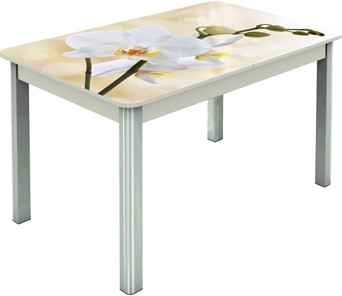 Кухонный раскладной стол Гамбург исп.2 ноги метал. крашеные №23, Фотопечать (Цветы №5) в Благовещенске