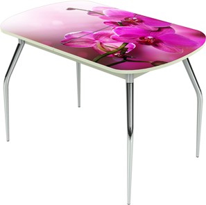 Обеденный раздвижной стол Ривьера исп.2 ноги метал. крашеные №24 Фотопечать (Цветы №16) в Благовещенске