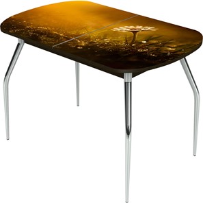 Кухонный стол раздвижной Ривьера исп.2 ноги метал. крашеные №24 Фотопечать (Цветы №43) в Благовещенске