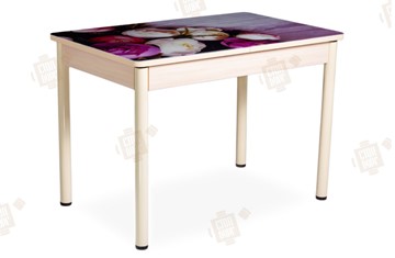 Кухонный стол раздвижной Айсберг-01 СТФ, дуб/фотопечать пионы/ноги крашеные в Благовещенске