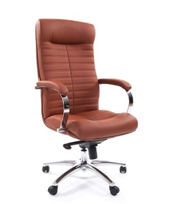 Кресло компьютерное CHAIRMAN 480 Экокожа Terra 111 (коричневая) в Благовещенске - предосмотр