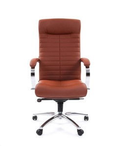 Кресло компьютерное CHAIRMAN 480 Экокожа Terra 111 (коричневая) в Благовещенске - предосмотр 1