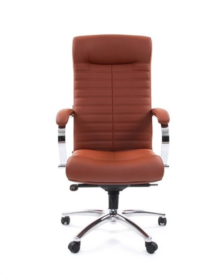 Кресло компьютерное CHAIRMAN 480 Экокожа Terra 111 (коричневая) в Благовещенске - изображение 1
