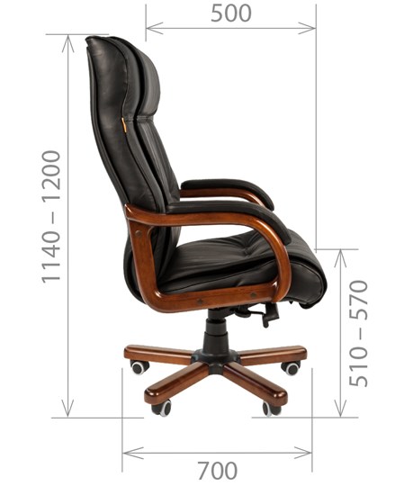 Компьютерное кресло CHAIRMAN 653 кожа черная в Благовещенске - изображение 2