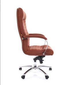 Кресло компьютерное CHAIRMAN 480 Экокожа Terra 111 (коричневая) в Благовещенске - предосмотр 2