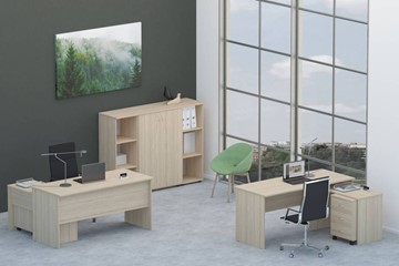 Офисный набор мебели Twin для 2 сотрудников со шкафом для документов в Благовещенске