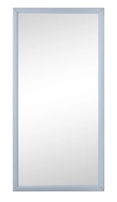 Зеркало навесное в гардероб Ника (Серый) 119,5 см x 60 см в Благовещенске