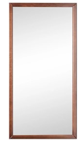 Зеркало навесное Ника (Средне-коричневый) 119,5 см x 60 см в Благовещенске