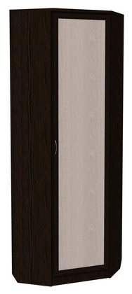 Шкаф распашной 402 угловой со штангой, цвет Венге в Благовещенске - изображение