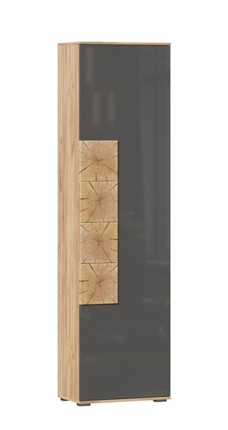 Шкаф одностворчатый Фиджи с декоративными накладками 659.300, Дуб Золотой/Антрацит в Благовещенске - изображение