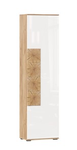 Шкаф одностворчатый Фиджи с декоративными накладками 659.300, Дуб Золотой/Белый в Благовещенске