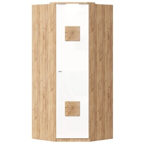 Шкаф угловой 45 с декоративной накладкой Фиджи, 659.248, белый в Благовещенске - предосмотр