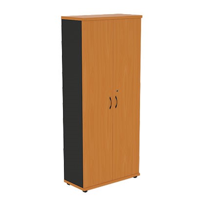 Шкаф 2-створчатый Моно-Люкс R5S05 в Благовещенске - изображение