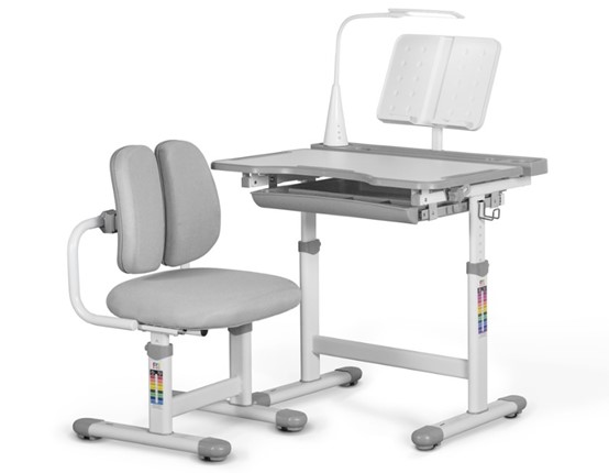 Комплект из растущего стола и кресла Mealux EVO BD-23 Grey в Благовещенске - изображение