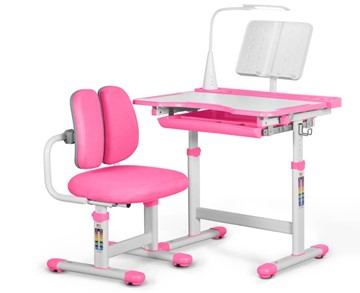 Комплект из растущего стола и кресла Mealux EVO BD-23 Pink в Благовещенске