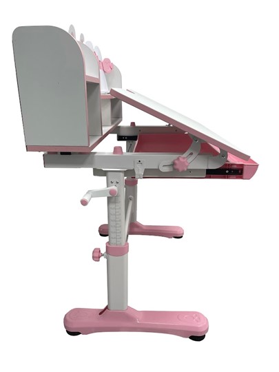 Стол растущий и стул Carezza Pink FUNDESK в Благовещенске - изображение 7